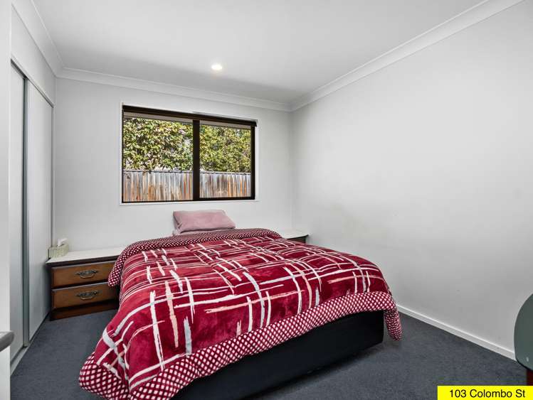 103 Colombo Street Somerfield_10