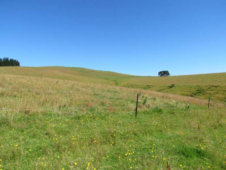 219 Beacon Hill Road Clinton and Surrounds_6