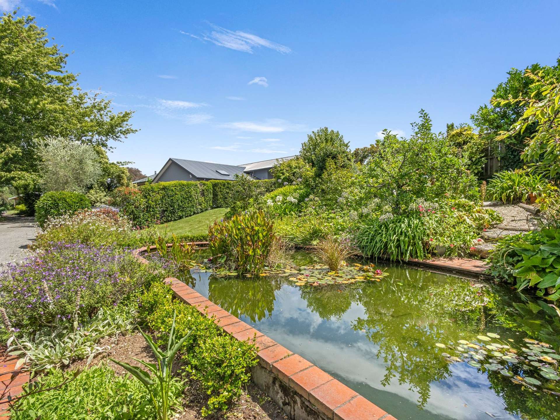 1213A Ada Street Parkvale_0