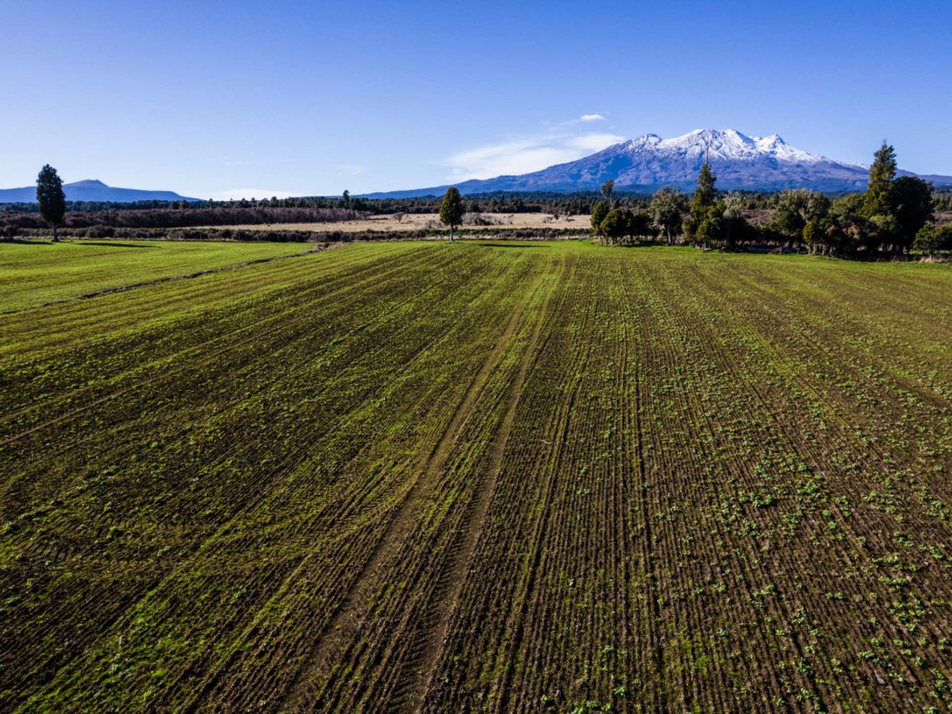 Matapuna Road, Ruapehu Alpine Estate, Horopito Ohakune_0