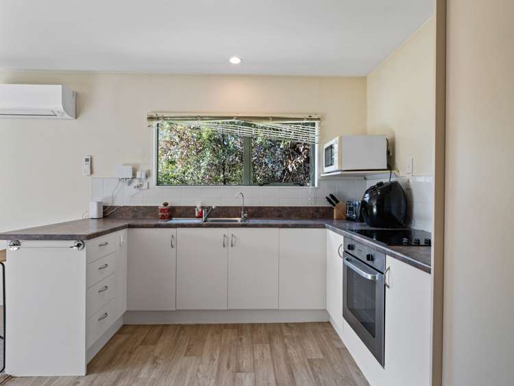 15 Terrace Road Leithfield_28