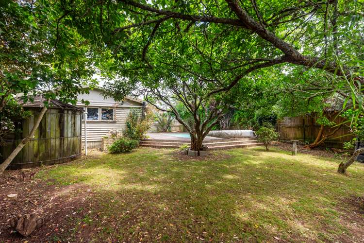 29 Shackleton Road Mount Eden_33