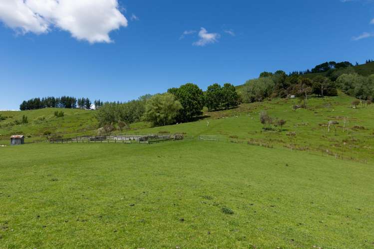 281 Tadmor Valley Road Tapawera_40