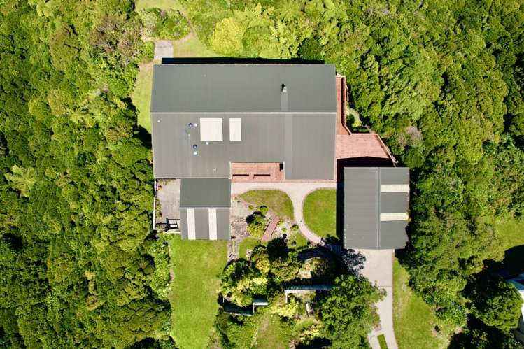 4 Pine Tree Lane Korokoro_28