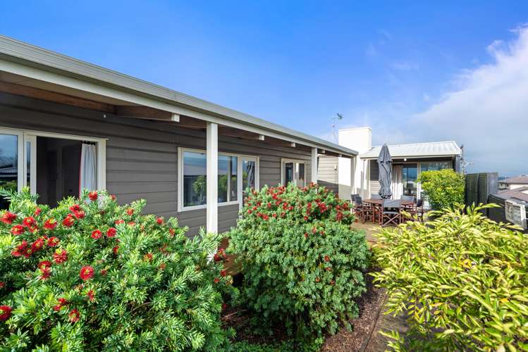 302 Picquet Hill Road Te Awamutu_31