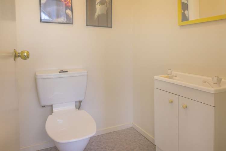 48 Tio Tio Road Miramar_13