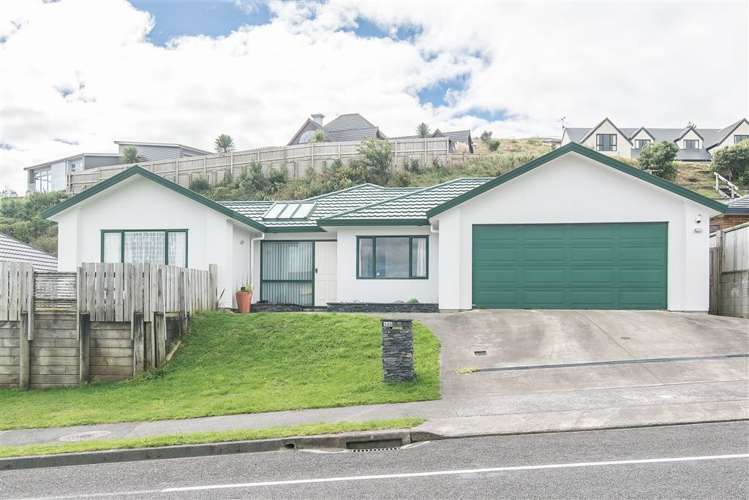135 Woodman Drive Tawa_0