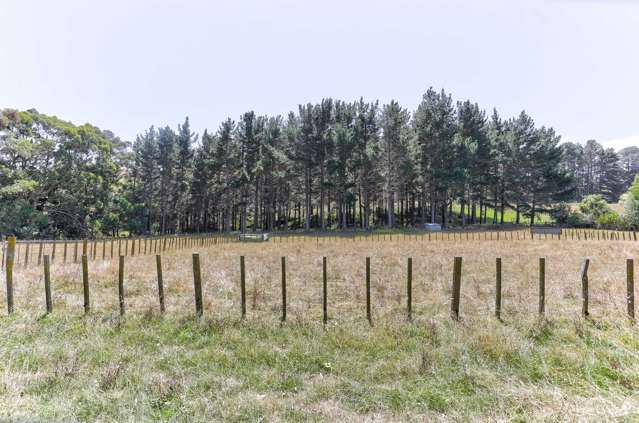 209 No 3 Line Wanganui East_3