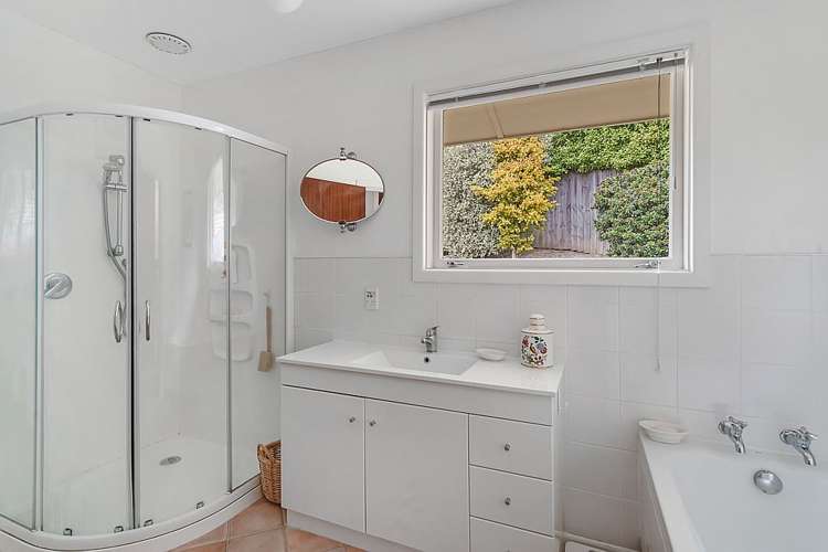 1/32 Takahe Drive Cashmere_19