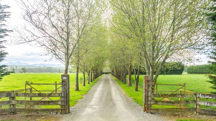 62 Waiau West Road Cheviot_45