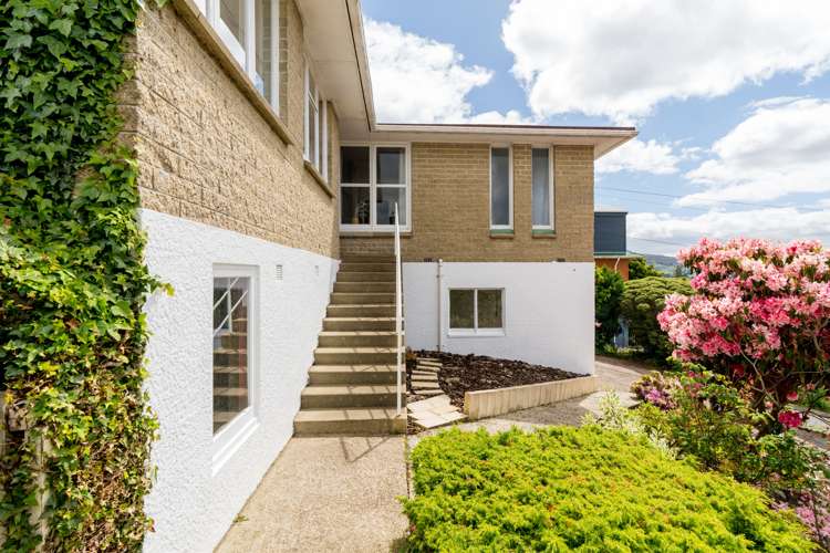 18 Hanlon Street Halfway Bush_2