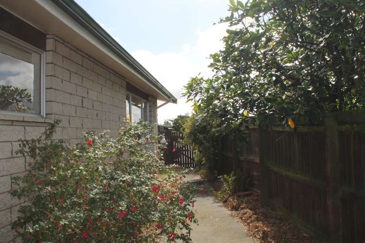 183 Harland Street Tinwald_18