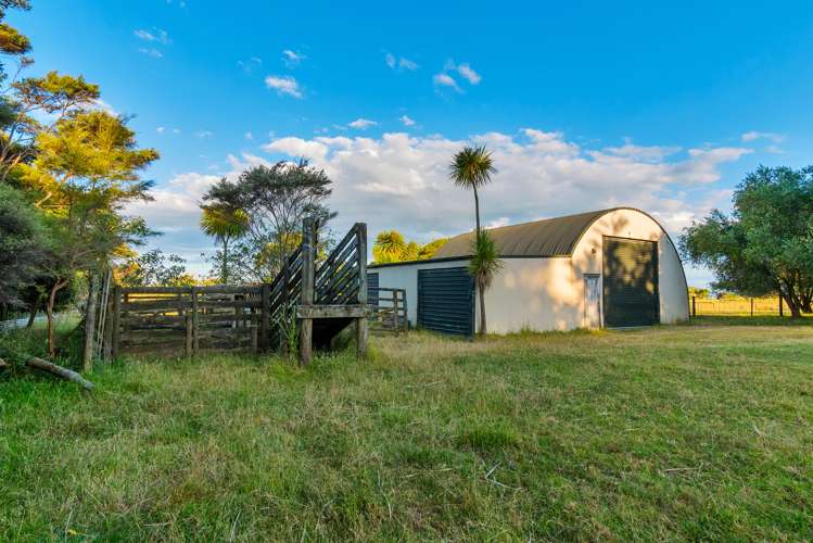 115 Shelly Beach Road Shelly Beach_21