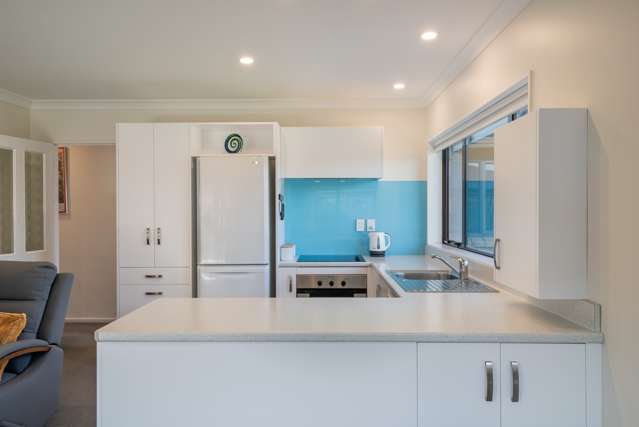 12A Sussex Street Levin_4