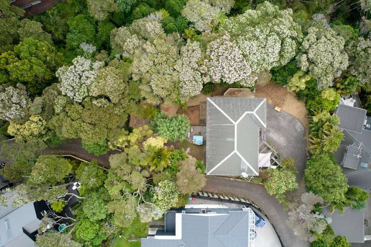 50 Tarawera Terrace Saint Heliers_1