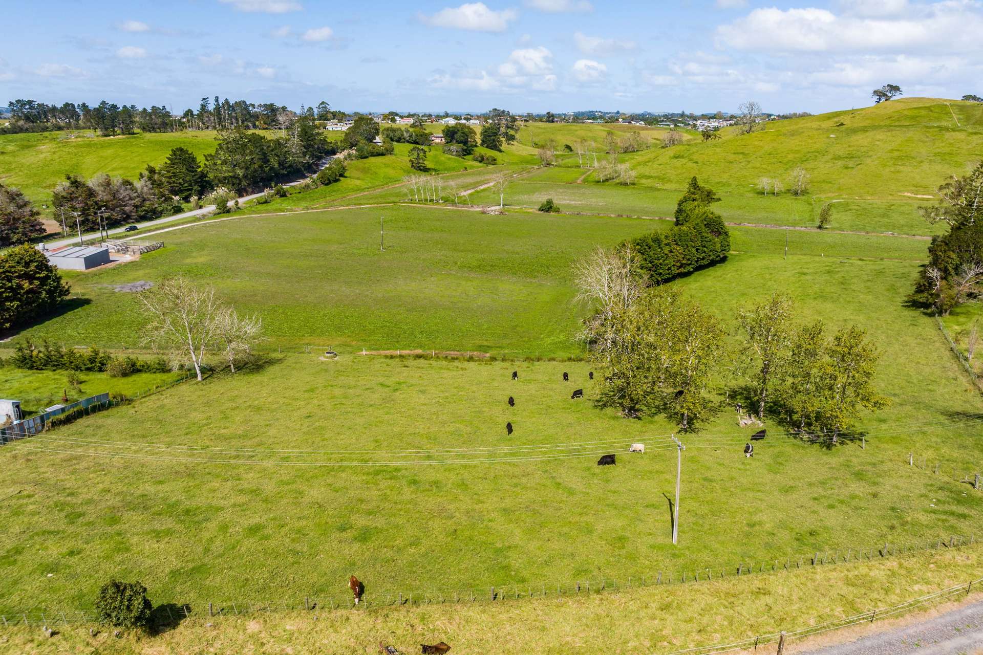 202 Awakino Road Dargaville_0