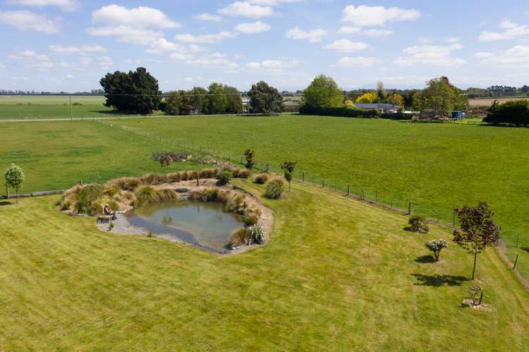 273 Wilkins Road Tinwald_37