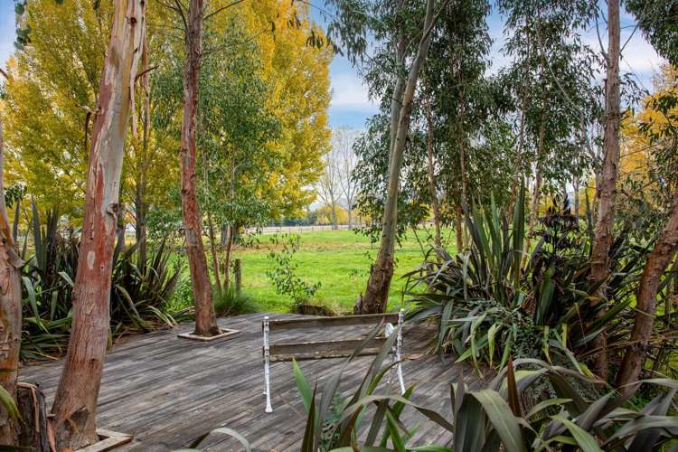 208 Fisher Lane Alexandra_25