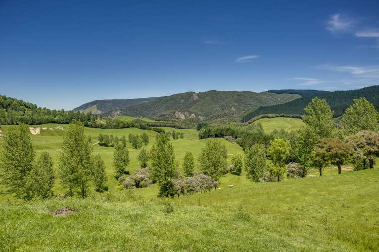 1127 Glenross Waiwhare_7