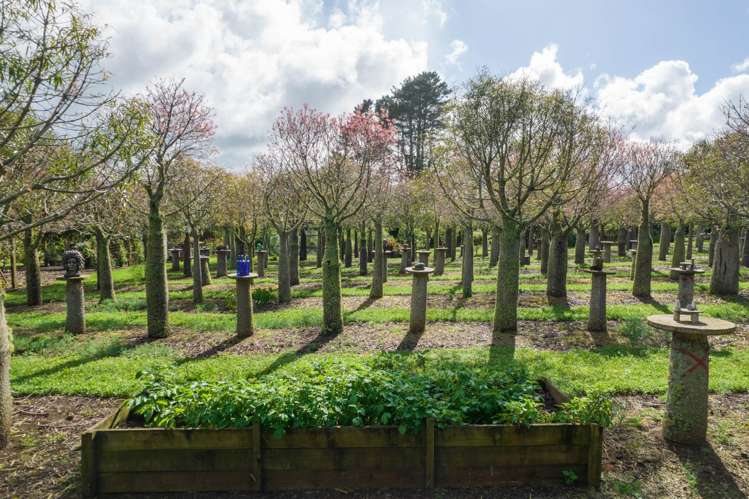 21 Monument Road Kaikohe_26