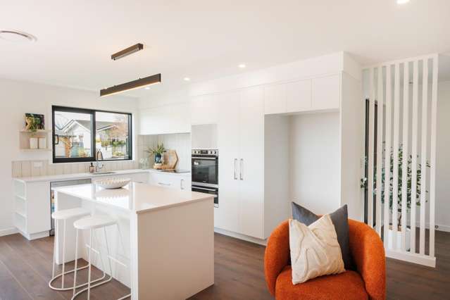 2 Albert Street Palmerston North Central_2