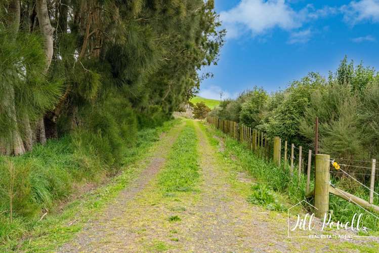 Lot/4 Dodd Road Maungaturoto_15