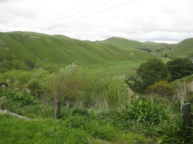 9124 Route 52 Weber_11