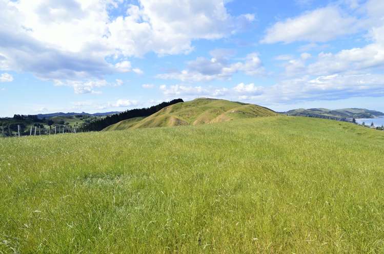 698 Wainui Road Wainui_17