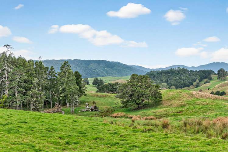 Lot 18 Kirk Road Maungaturoto_18