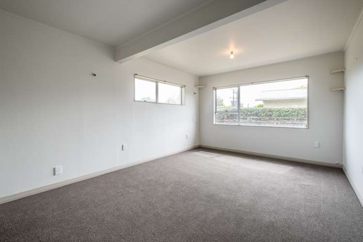 58 Alma Street Renwick_5