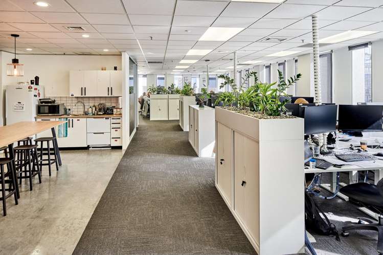 318 Lambton Quay Central Wellington Central_12