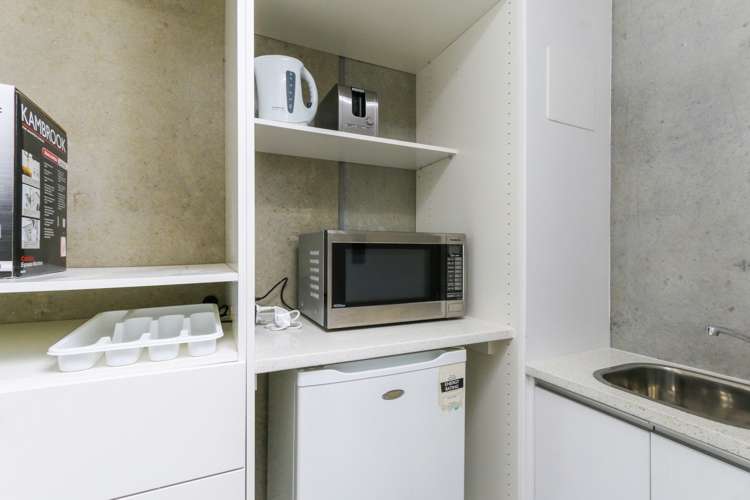 17 Crummer Road Grey Lynn_4