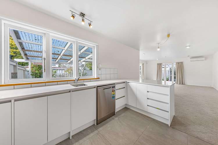 18a Haig Avenue Mount Roskill_14