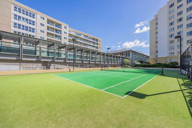 12 Maui Grove Remuera_21