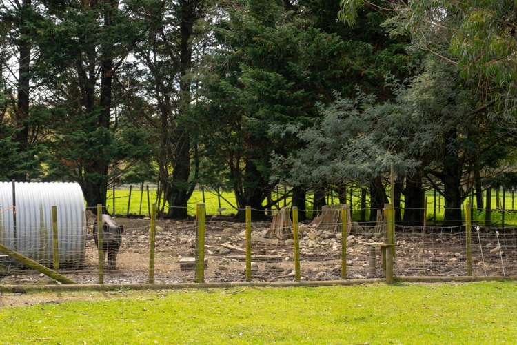 54 Tararua Drive Upper Plain_21