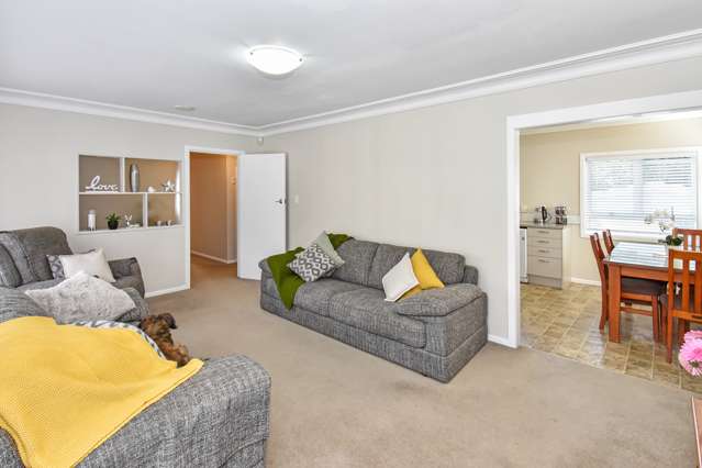 22 Scenic Drive Hillpark_3