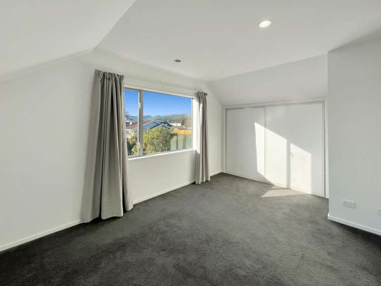 17 Antrim Street Sydenham_8