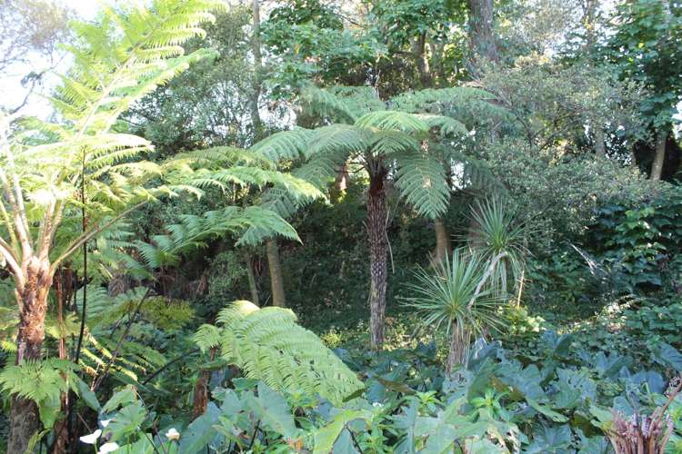 30a Halver Road Hillpark_16