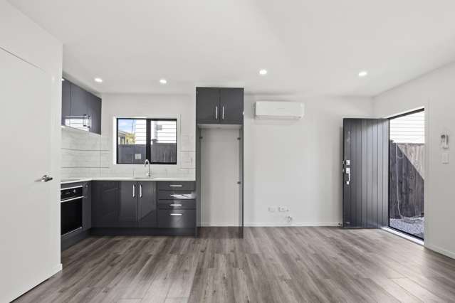 13A Springside Place New Lynn_2