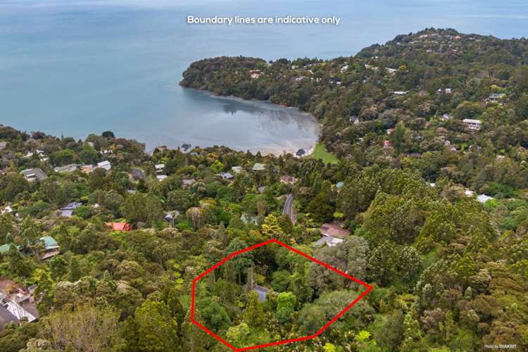 20 Takahe Road Titirangi_0