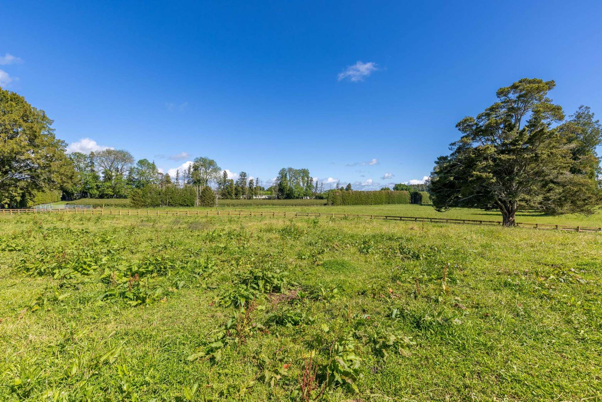 1944 Te Rahu Road Te Awamutu_0