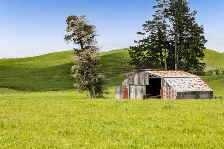 246 Kupara Road Inglewood_6