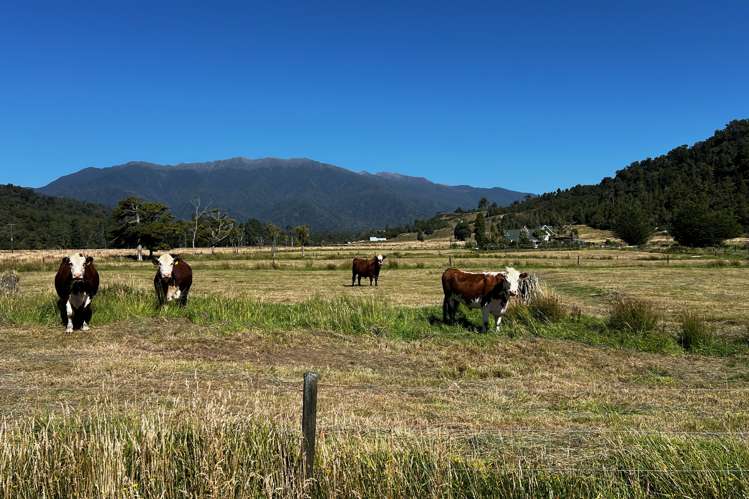 1100 Nikau Road, SH67 Mokihinui_21