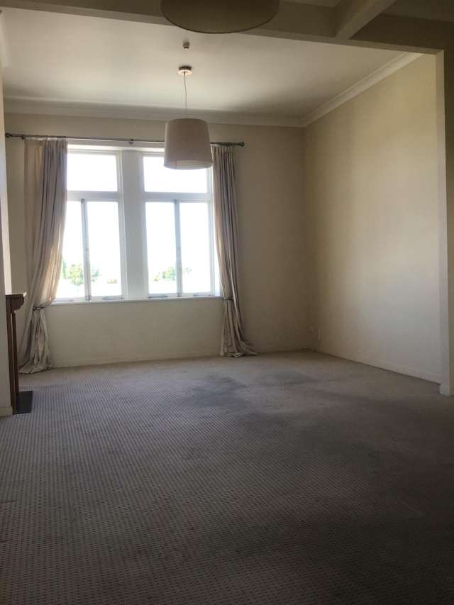195B Thames Street Morrinsville_2