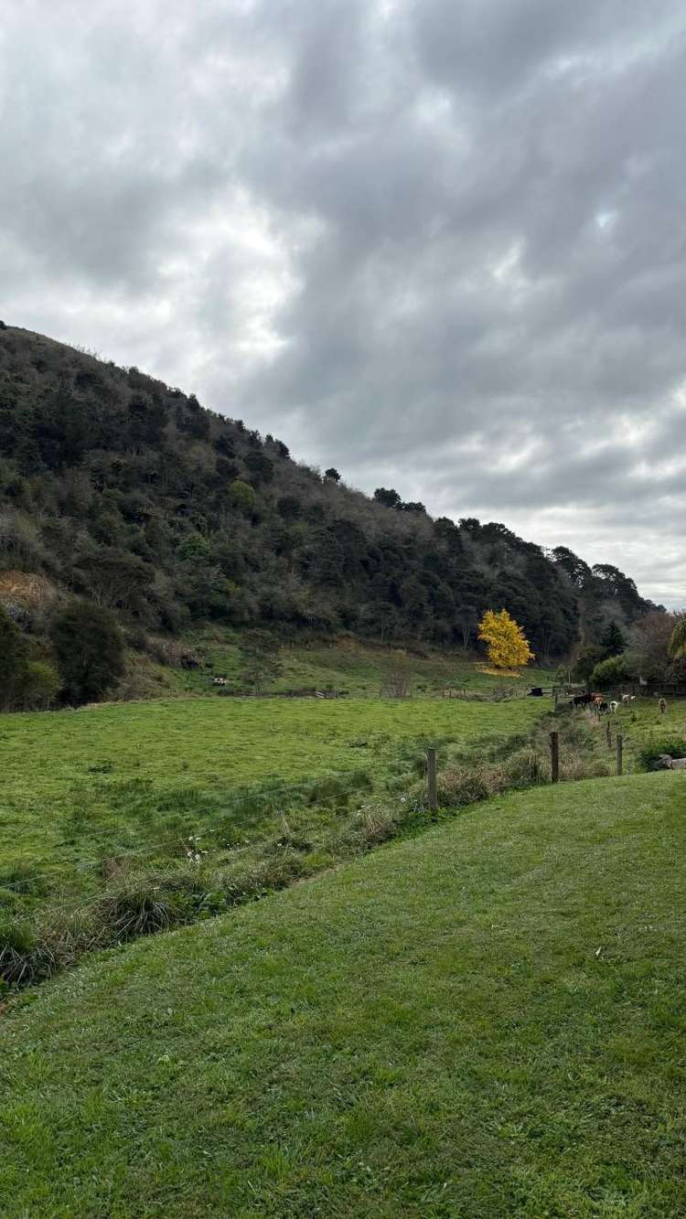 Address withheld Morrinsville_11