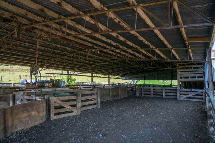 229 Rangikohua Road Tolaga Bay_7