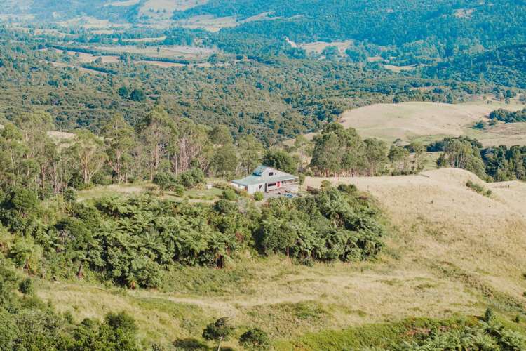 State Highway 12 Waimamaku_16