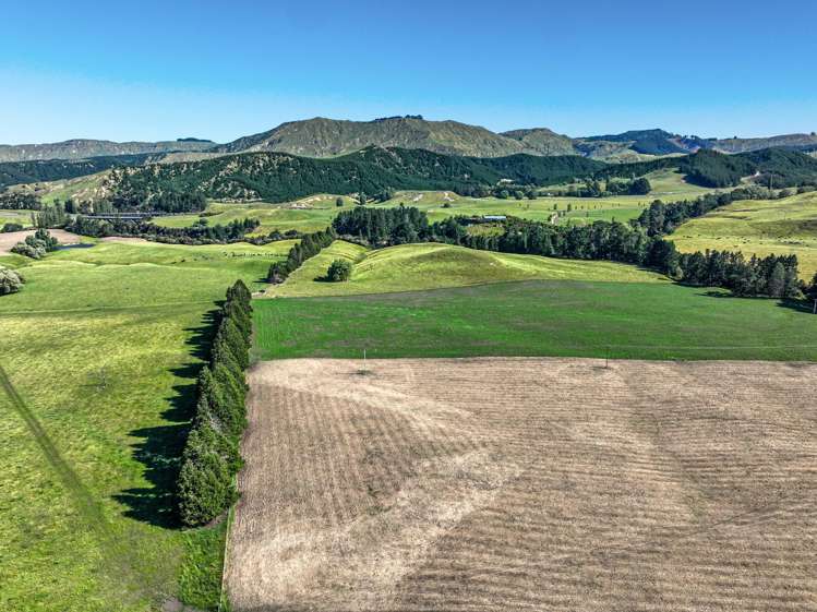 4551 Wairoa Road Tutira_1