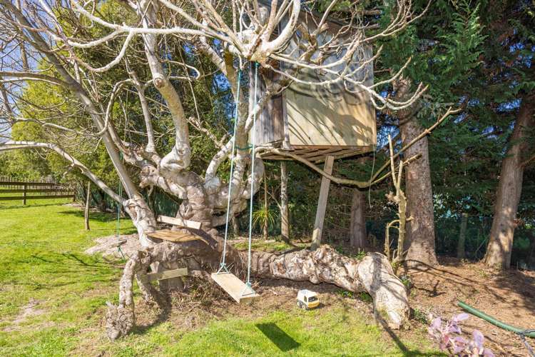 7 Ngahuia Place Te Awamutu_21