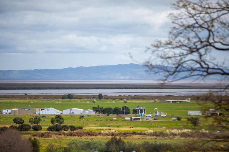 224 Waikiekie Road Thames_22